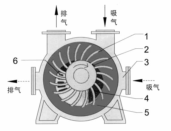 2BE1水环式乐动（中国）结构图